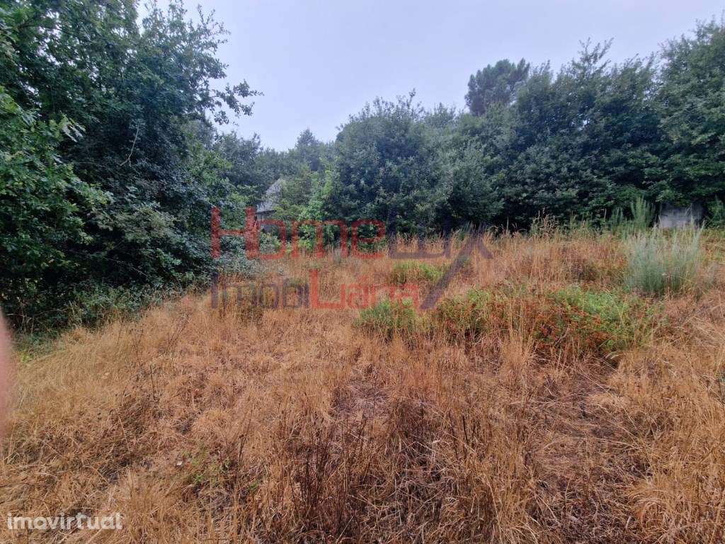 Terreno em Vila Cova à Coelheira com viabilidade de construção - Grande imagem: 2/25