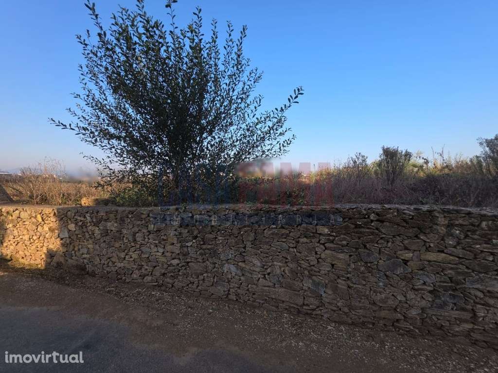 Terreno para Construção em Fradelos - Oportunidade Única! - Grande imagem: 5/13