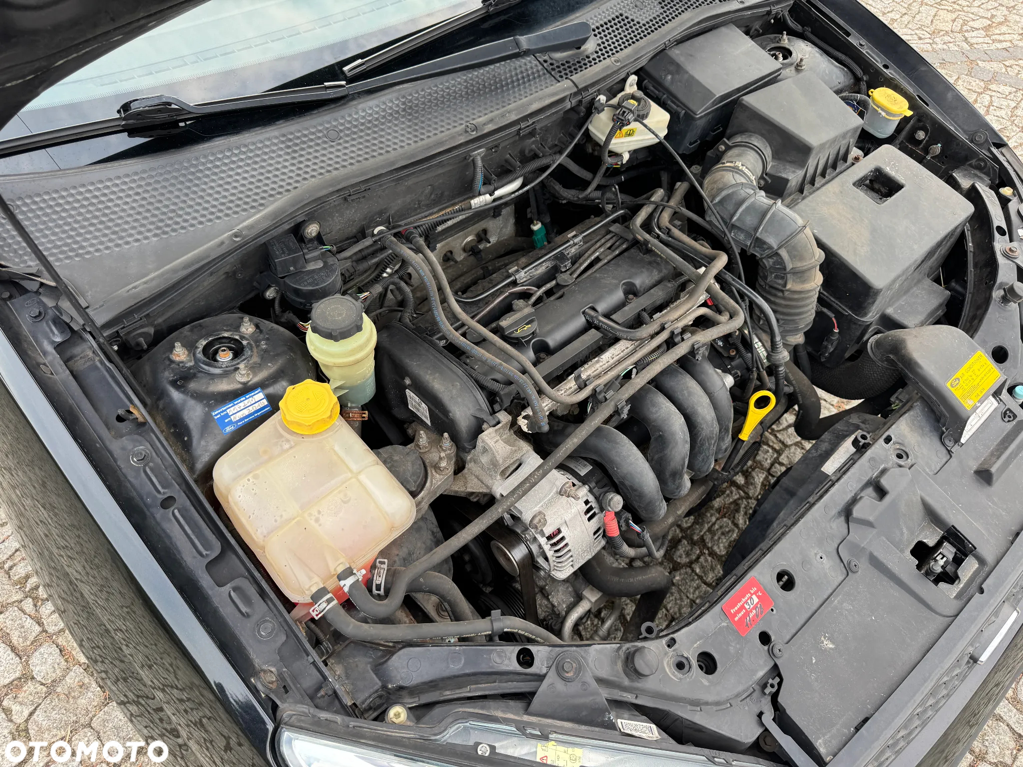 Ford Focus 1.6 16V Style - 36