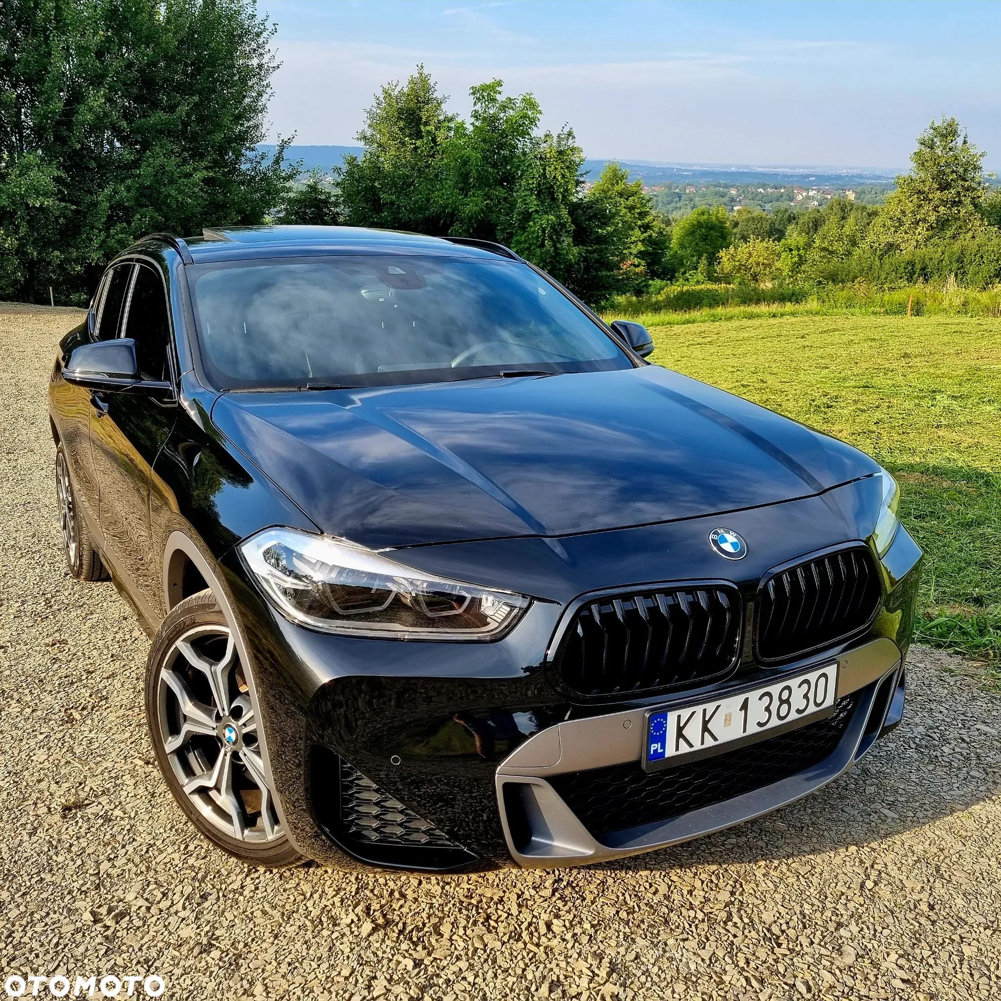BMW X2 xDrive20i M Sport X - 1