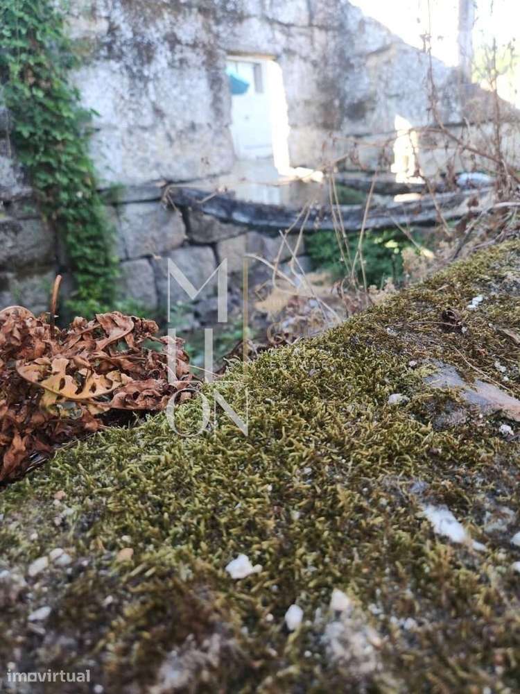 RUÍNA T3 COM DOIS ARTIGOS E 3.100 M² DE TERRENO — PADRONELO, AMARANTE - Grande imagem: 4/14
