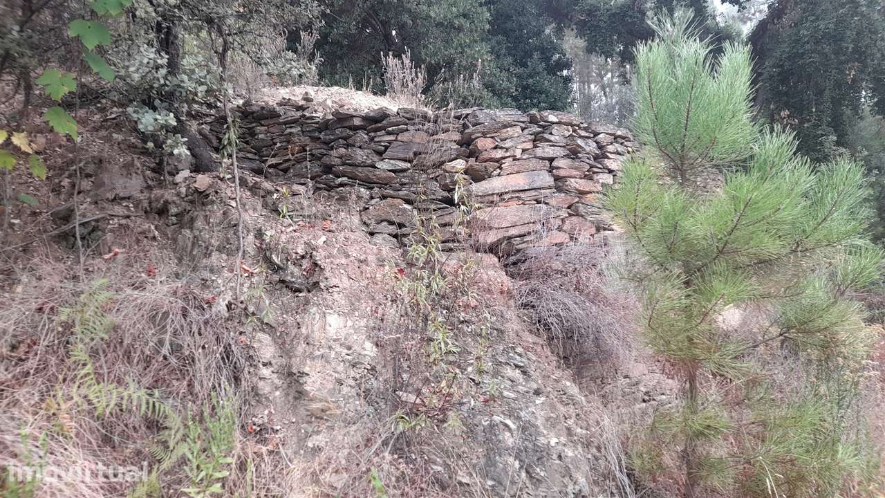 Terreno Rústico  Venda em Santo André das Tojeiras,Castelo Branco - Grande imagem: 5/9