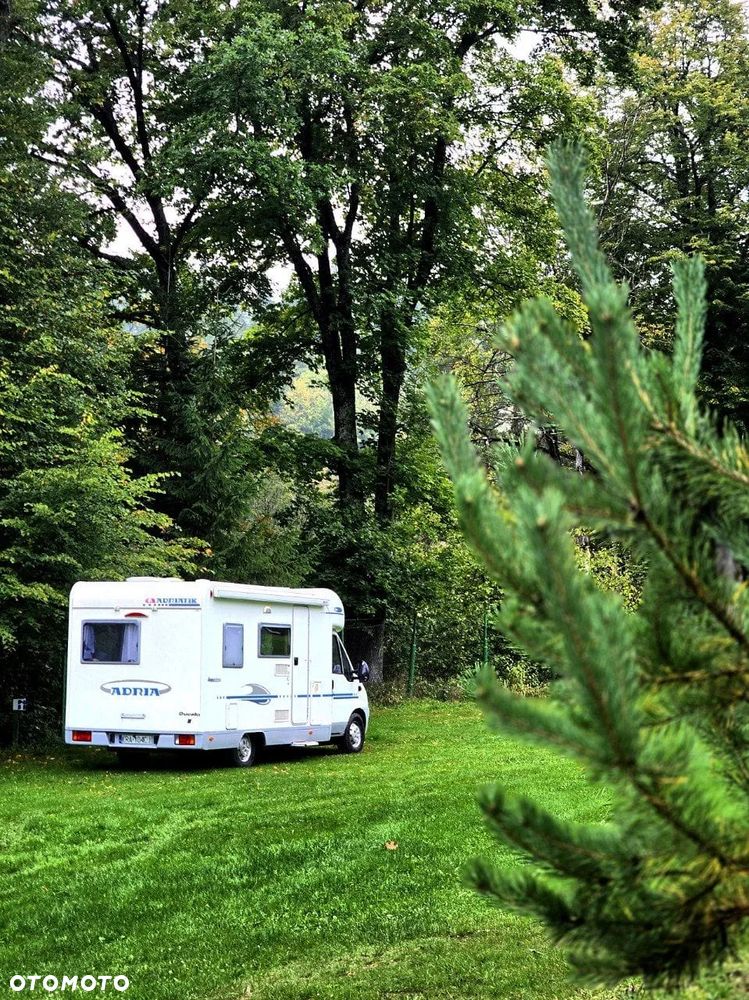 Fiat Ducato - 21