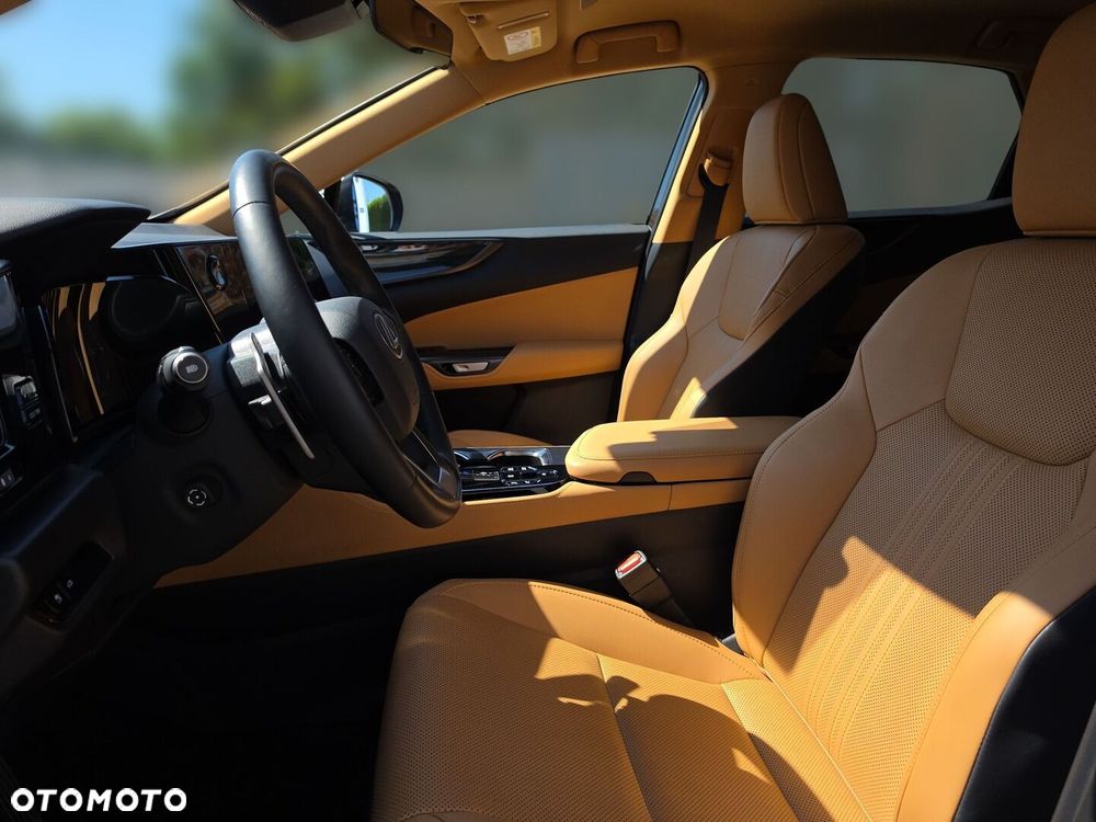 Lexus NX - 16