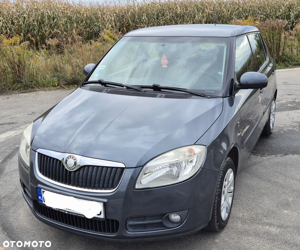 Skoda Fabia - 3
