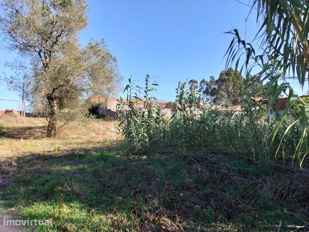 Terreno urbano com 16.5m de frente - Vagos - Grande imagem: 4/14