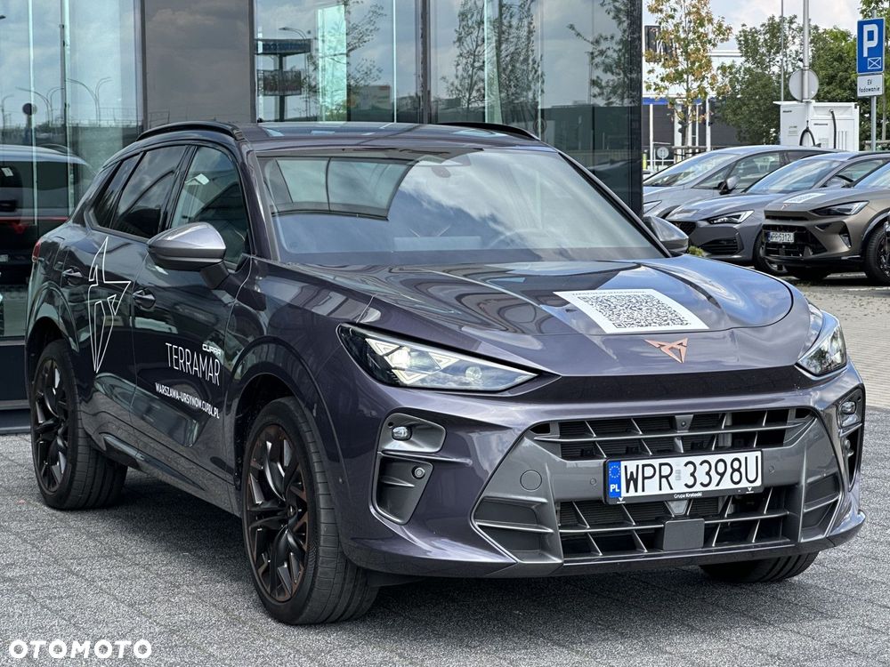 Cupra Terramar - 4