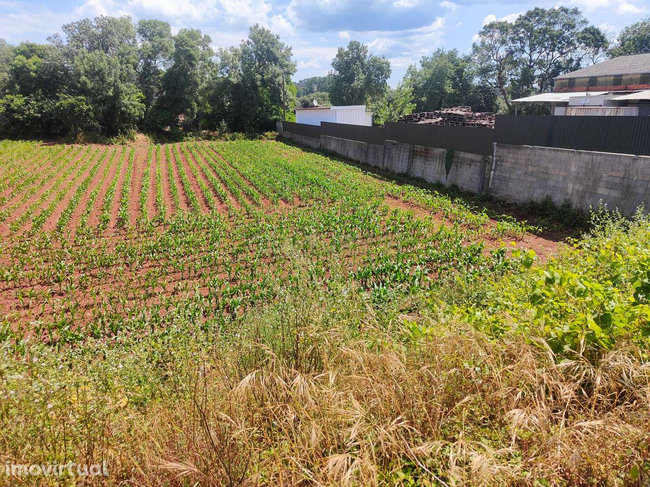 Terreno rústico - Grande imagem: 2/7