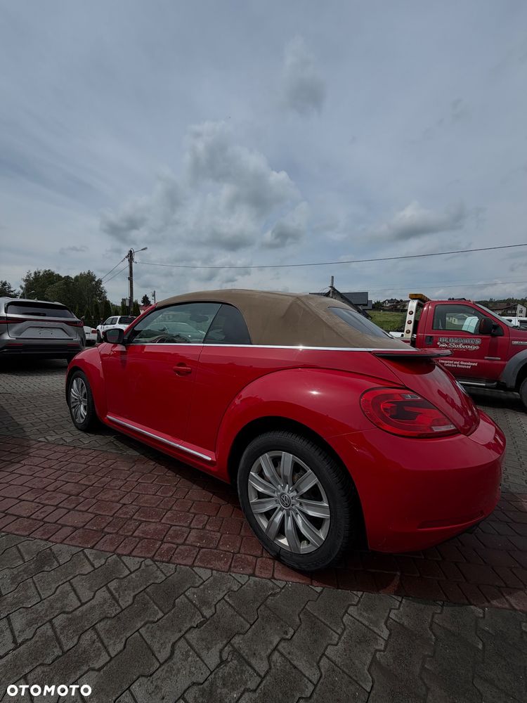 Volkswagen Beetle - 3