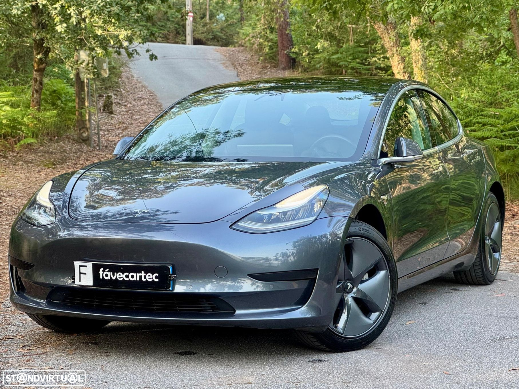 Tesla Model 3 Standard Range Plus RWD - 2