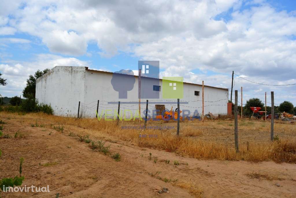 Propriedade vinícola, em Vila de Frades, Vidigueira - Grande imagem: 3/9