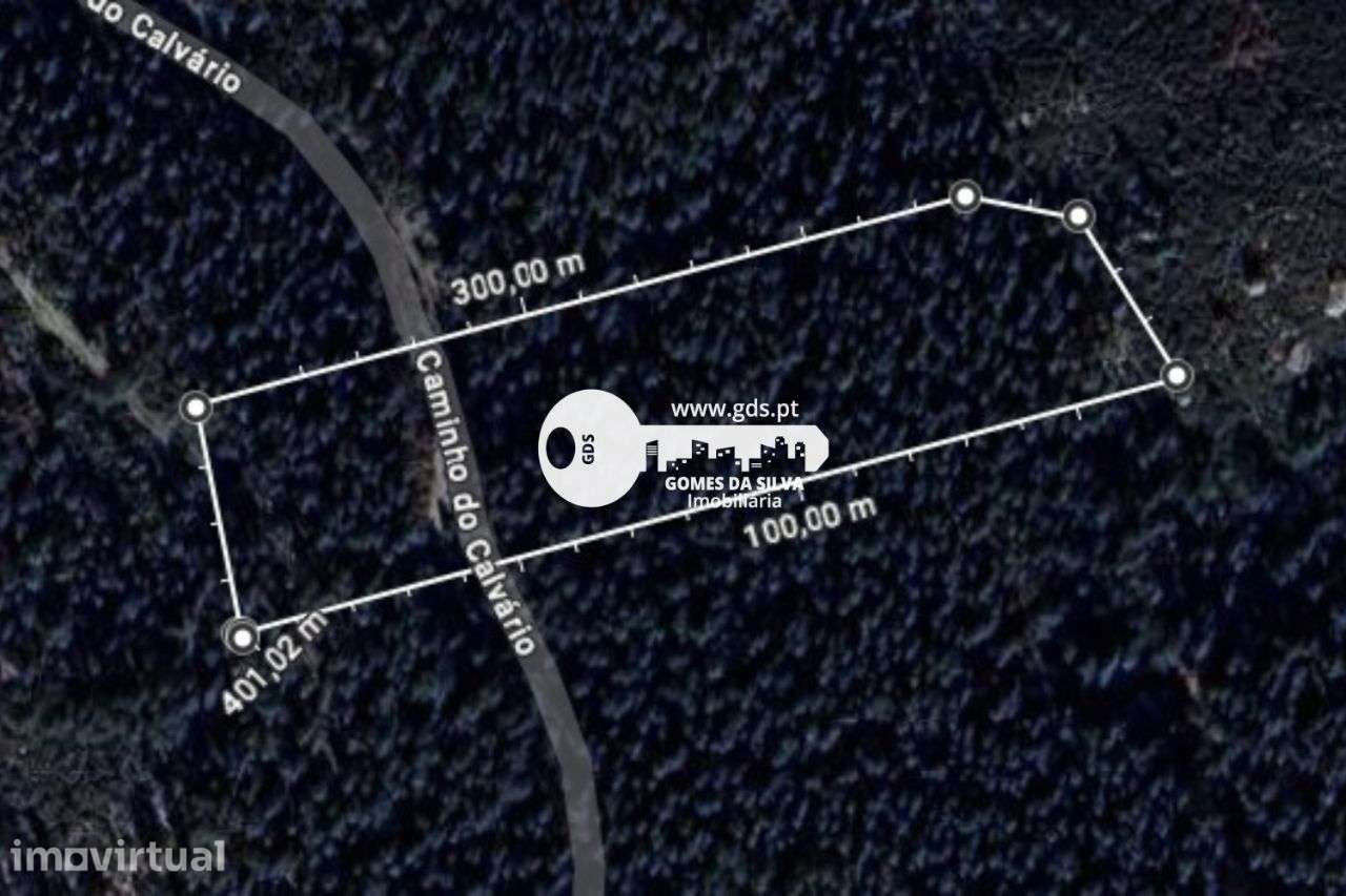 Terreno Rústico à Venda – 6.600m² | Travassos, Morreira, Braga - Grande imagem: 2/12
