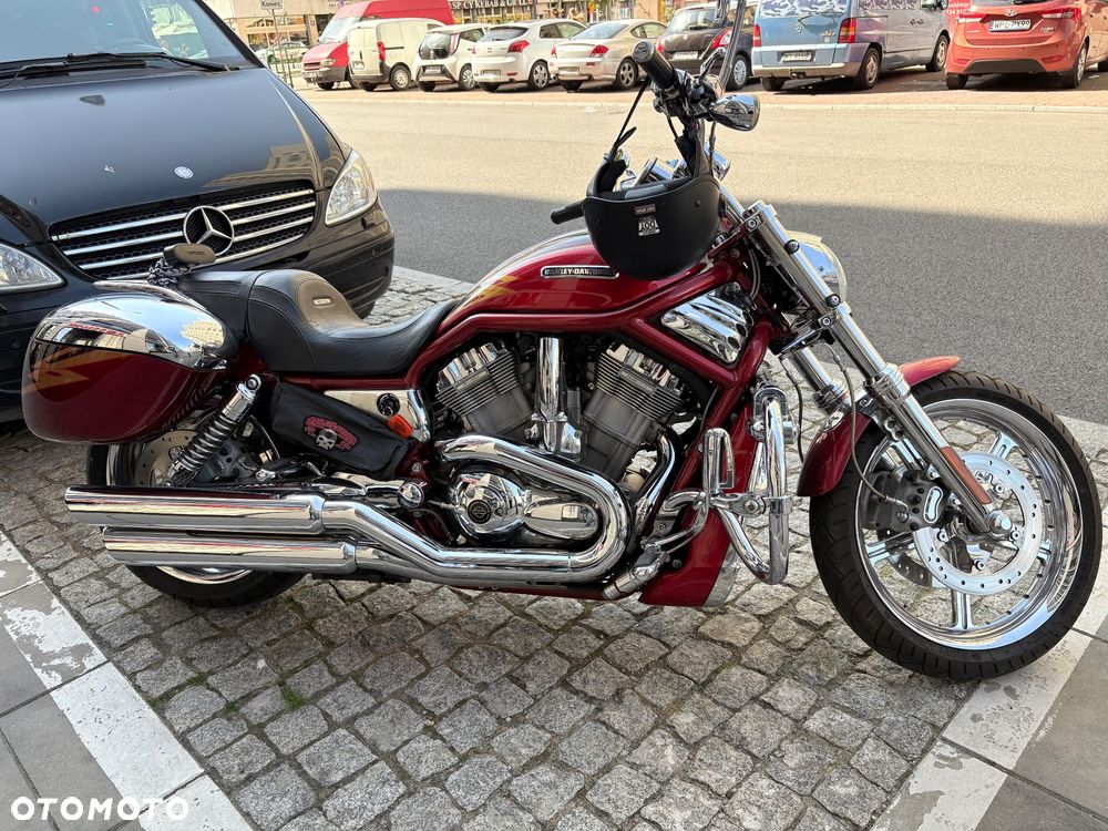 Harley-Davidson Softail V-Rod - 6