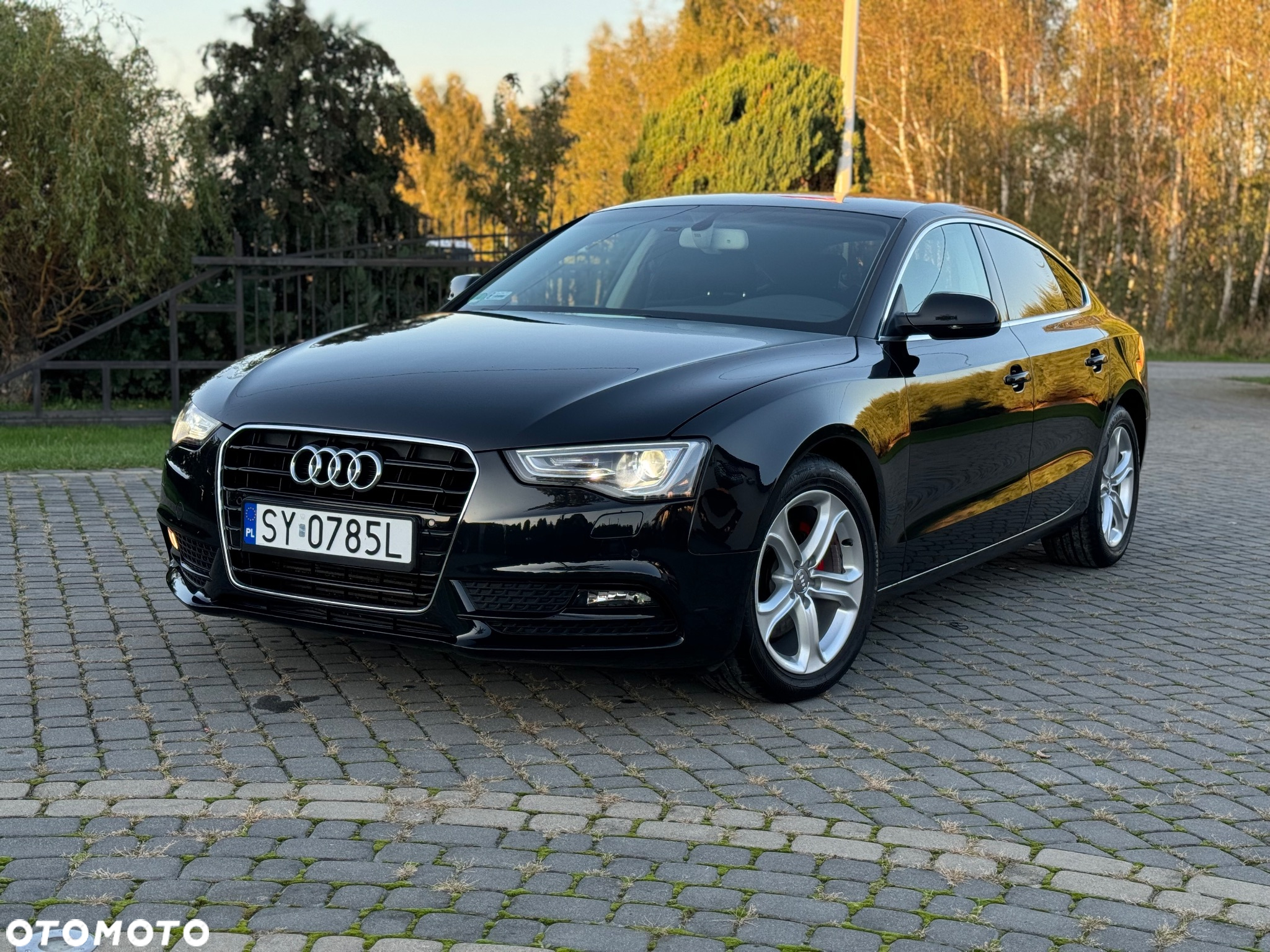 Audi A5 2.0 TDI Multitronic - 4
