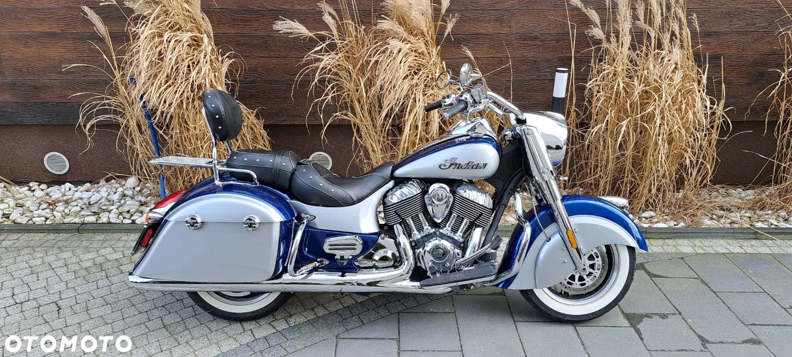 Indian Springfield - 22