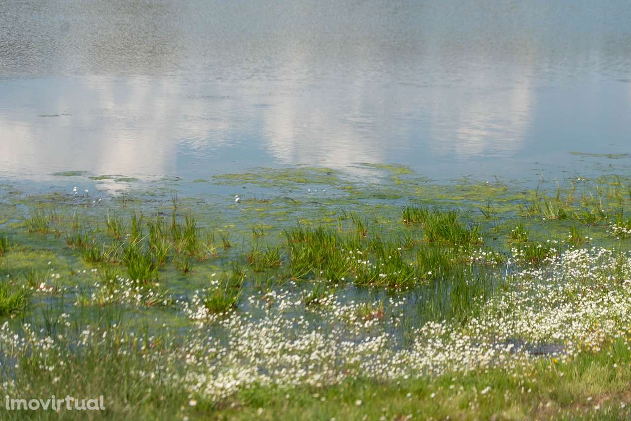 Herdade da Chamurreira de Cima – 136 Hectares de Montado e Infraestrut - Grande imagem: 2/19