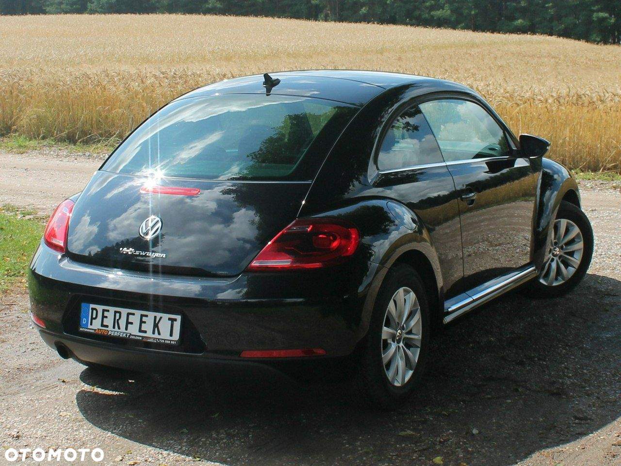 Volkswagen Beetle - 4