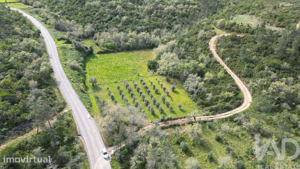 Terreno Agrícola em Podentes - Grande imagem: 3/18