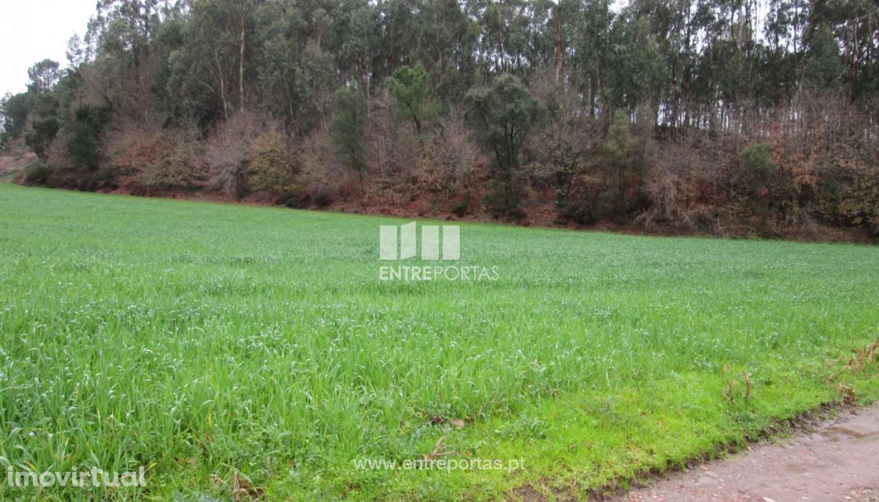 Venda de Terreno, Vilarinho das Cambas, Vila Nova de Famalicão - Grande imagem: 3/12