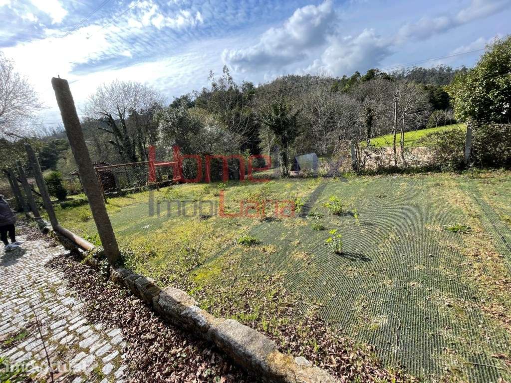 Quinta junto ao Rio Caima - Grande imagem: 3/29
