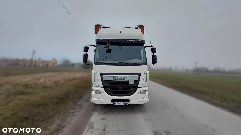 DAF LF 290 FIRANKA 9.3 X2.5X 2.9H WINDA - 7