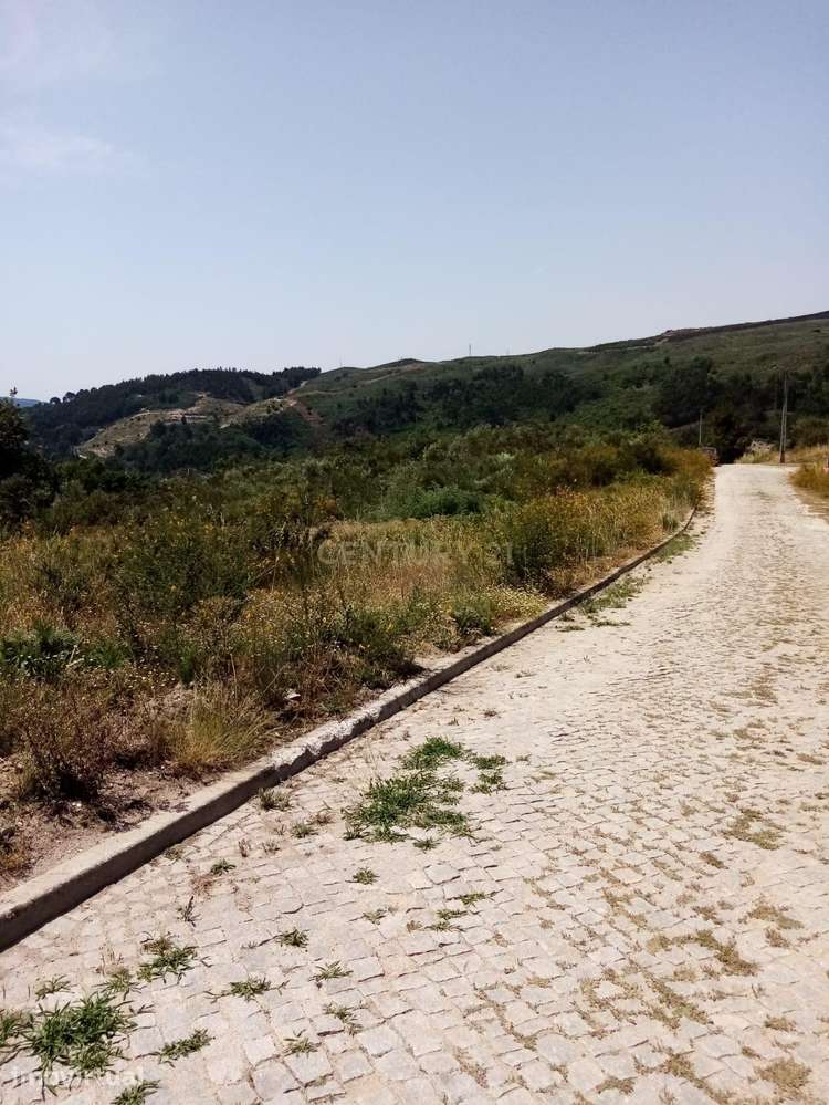 Parcela de Terreno com viabilidade de Construção em Grilo - Baião - Grande imagem: 3/7