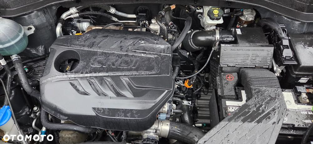 Kia Sportage - 6
