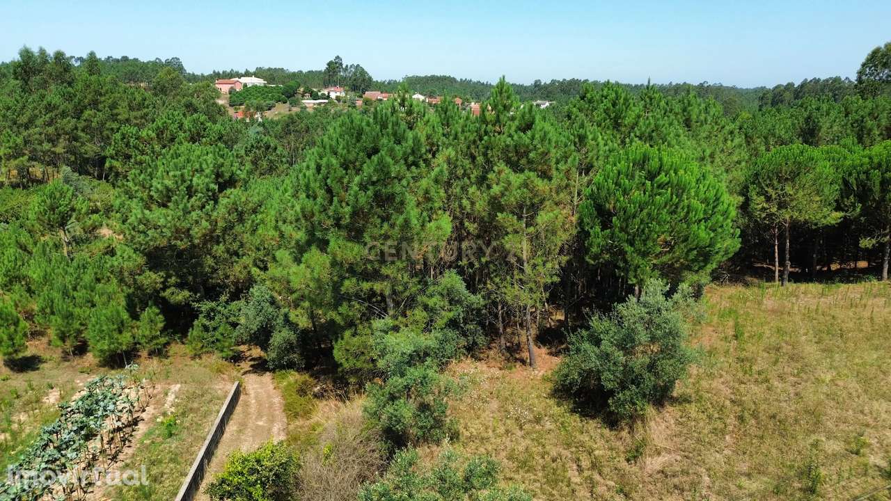 Terreno com 2020m2 para construção em Carnide - Grande imagem: 3/58