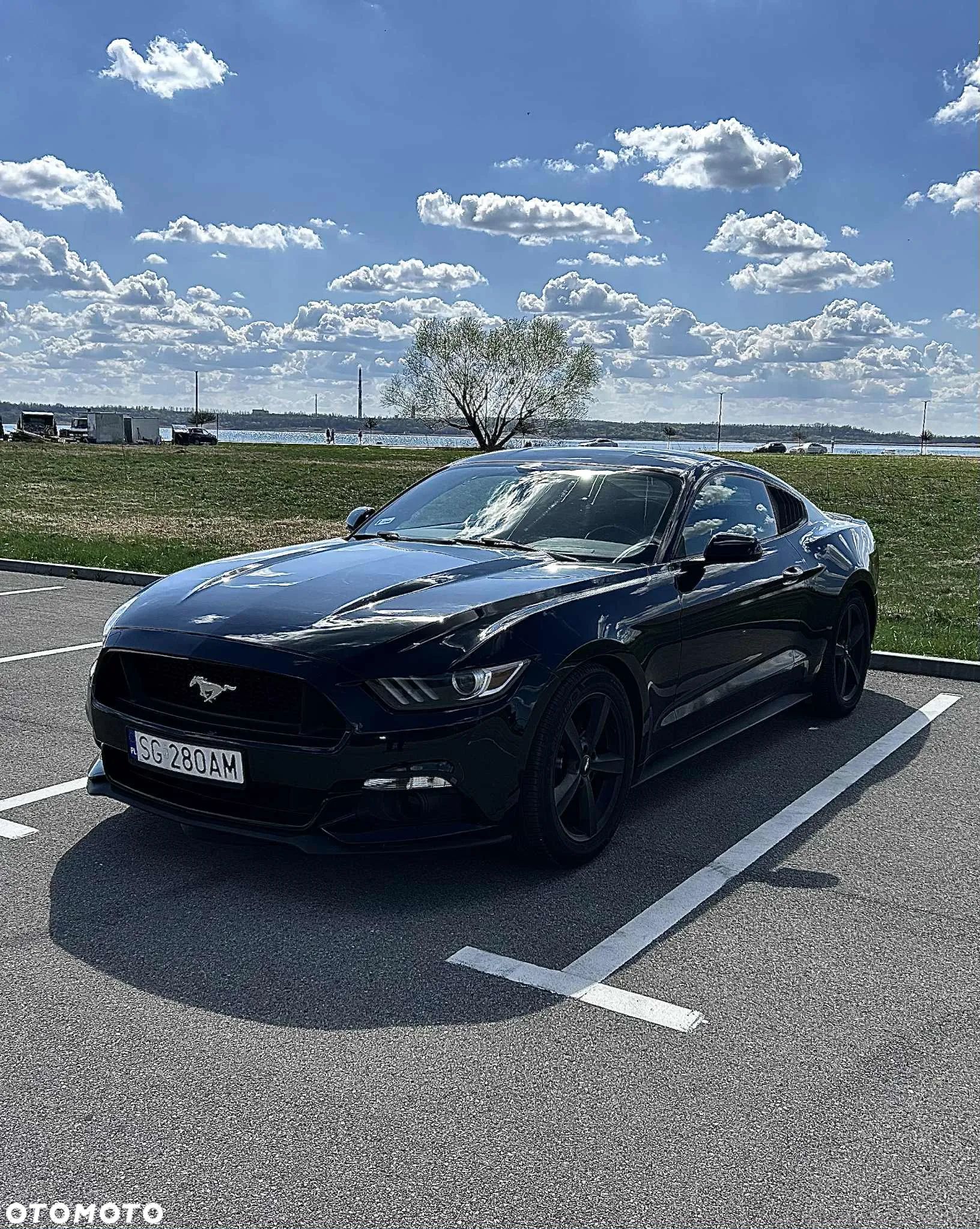 Ford Mustang 3.7 V6 - 1