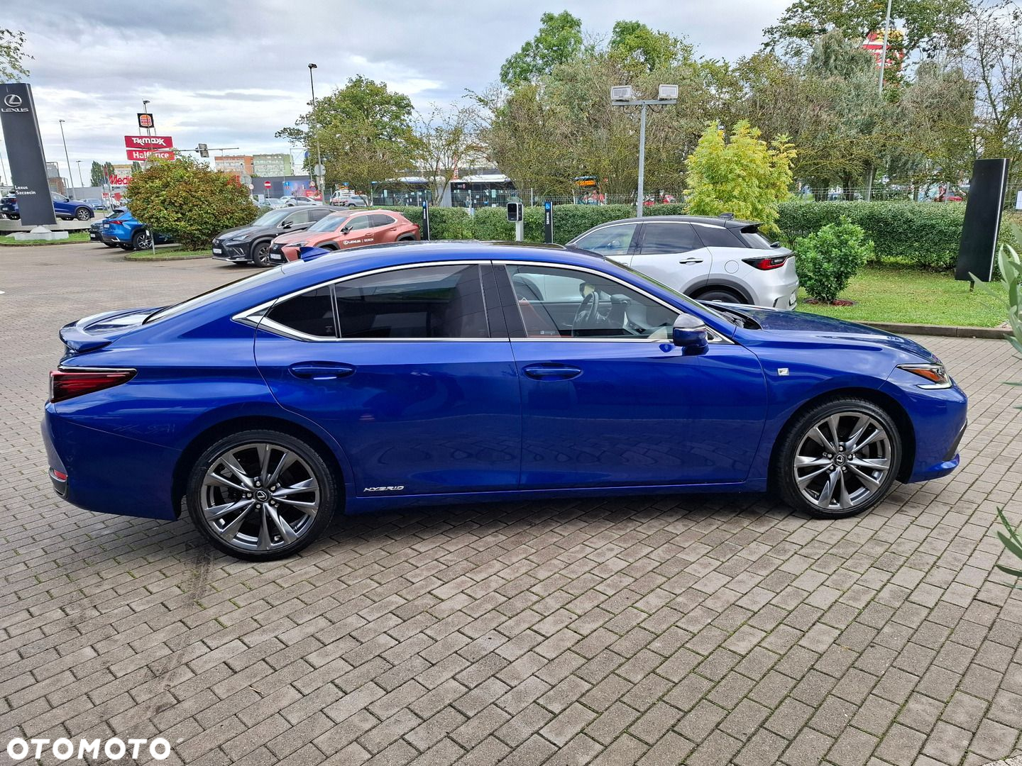 Lexus ES 300h F Sport Edition - 6