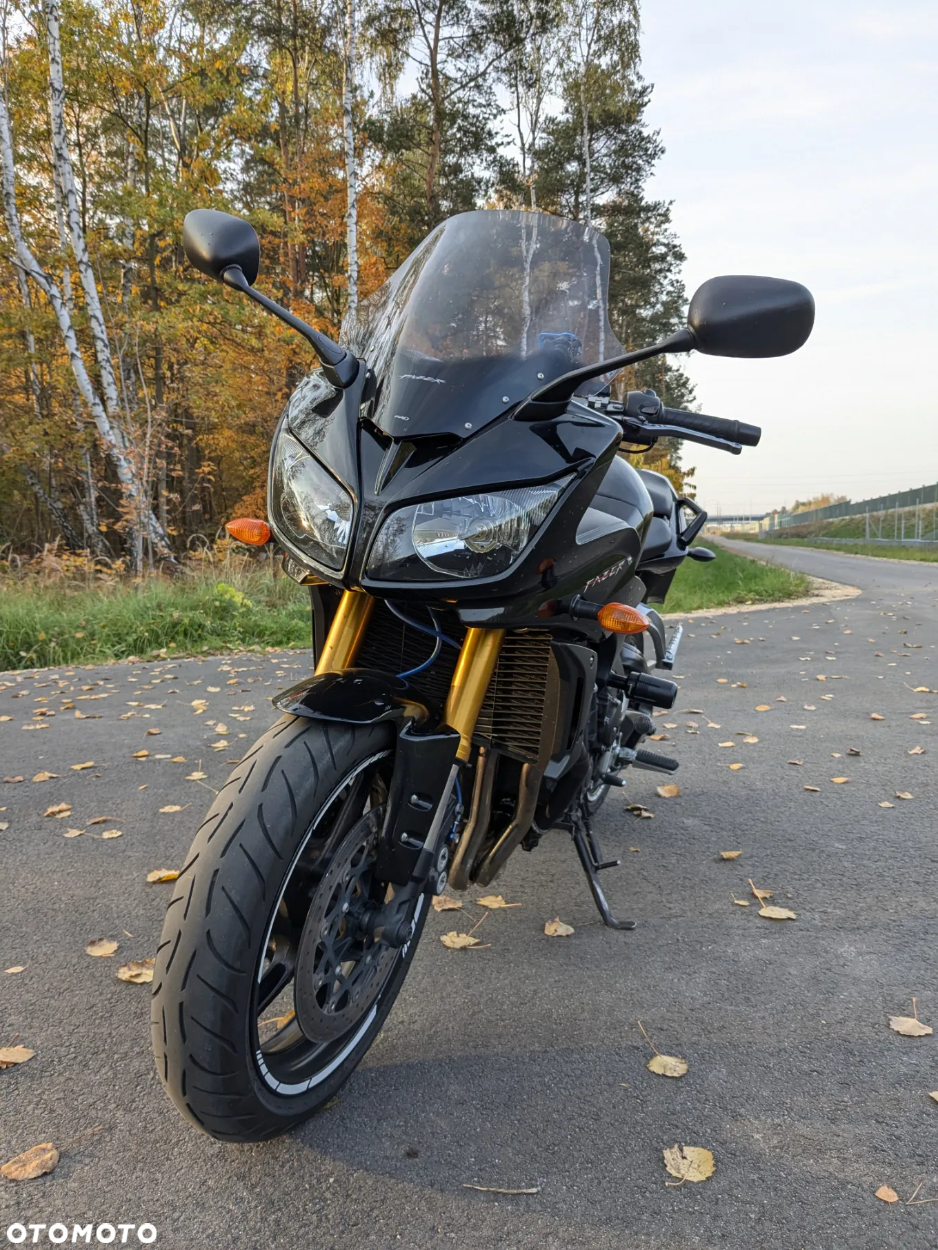 Yamaha FZ - 2
