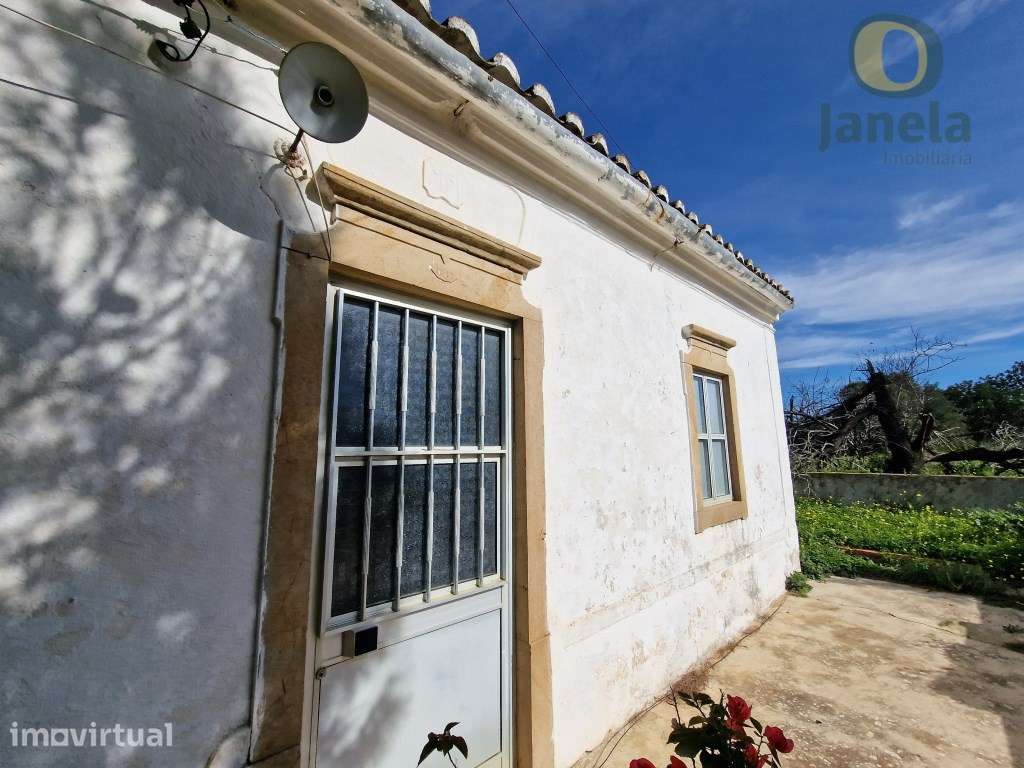Quintinha com 4,5 ha, habitação, vista mar e bons acessos - Grande imagem: 4/12