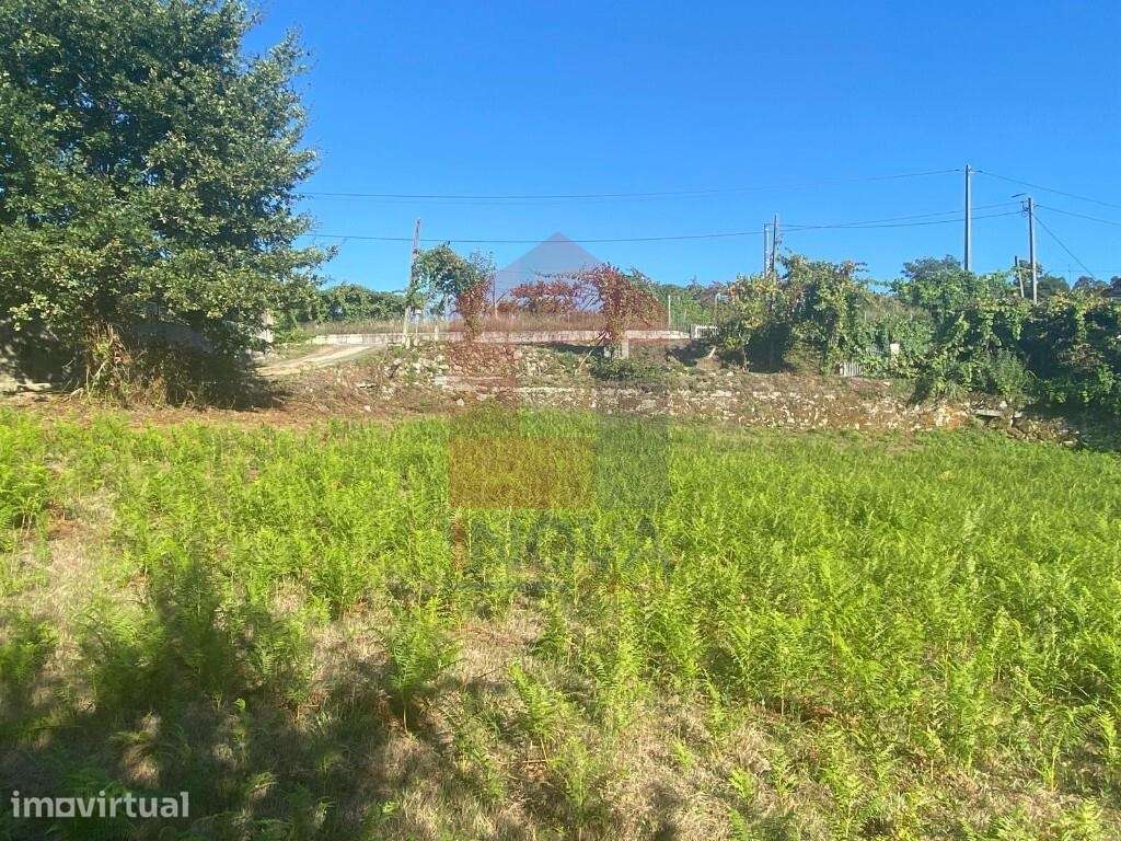 Terreno agrícola, Aboim da Nóbrega - Grande imagem: 5/32