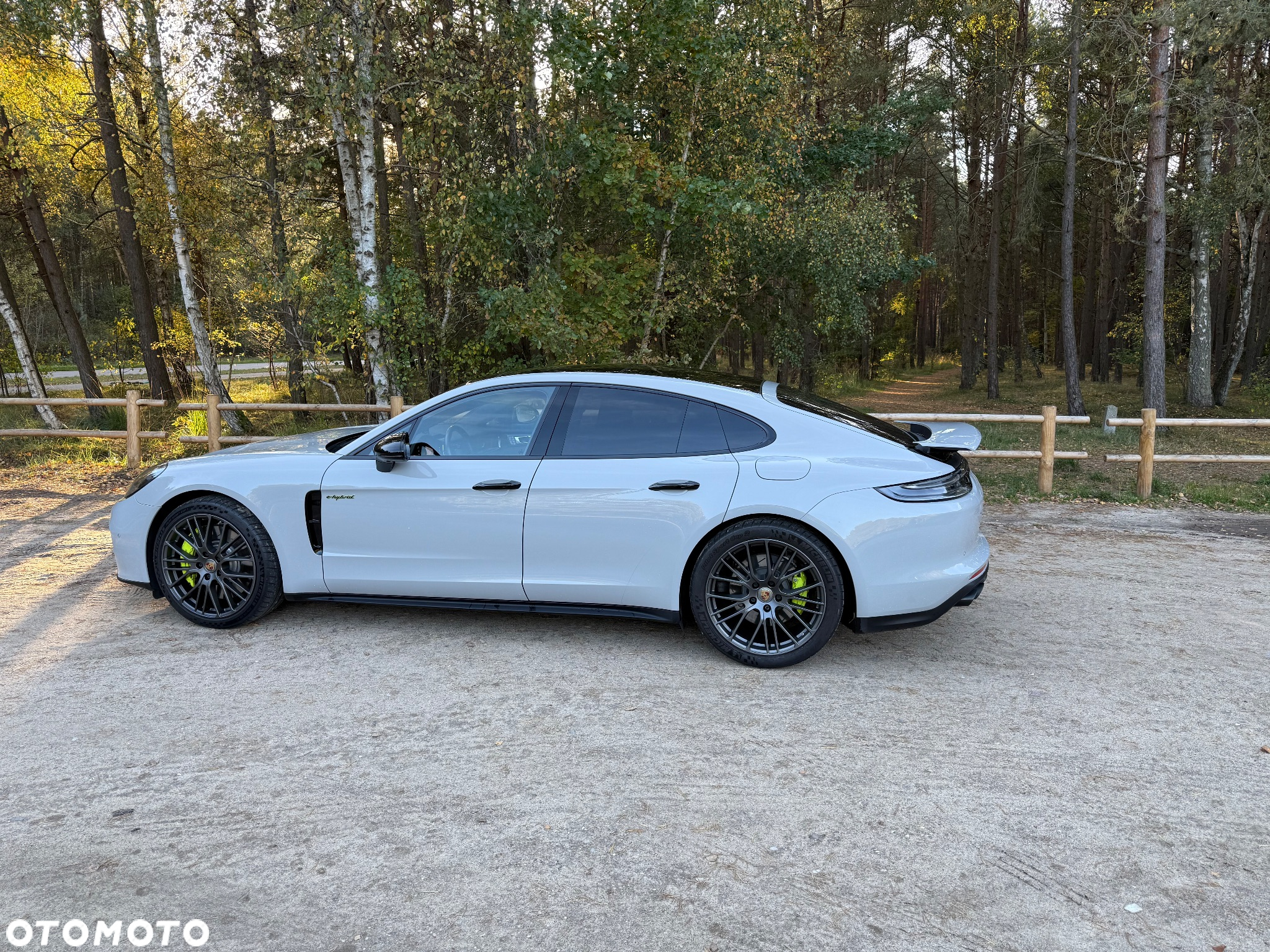 Porsche Panamera 4S E-Hybrid - 22