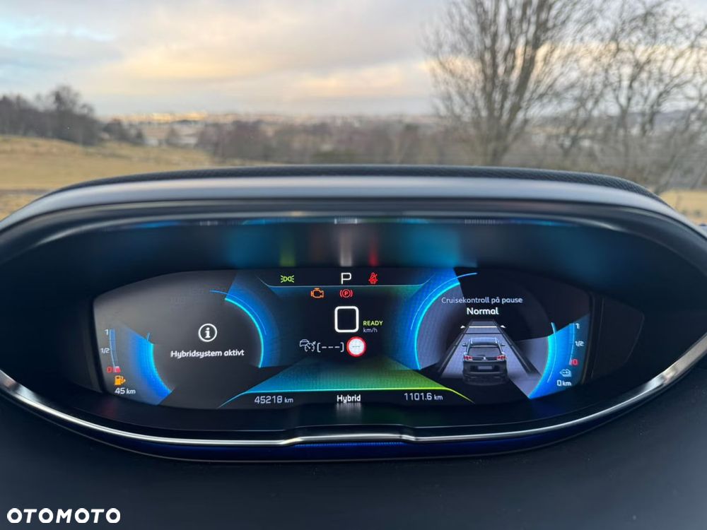 Peugeot 3008 1.6 PureTech HYbrid4 GT Line S&S EAT8 - 24