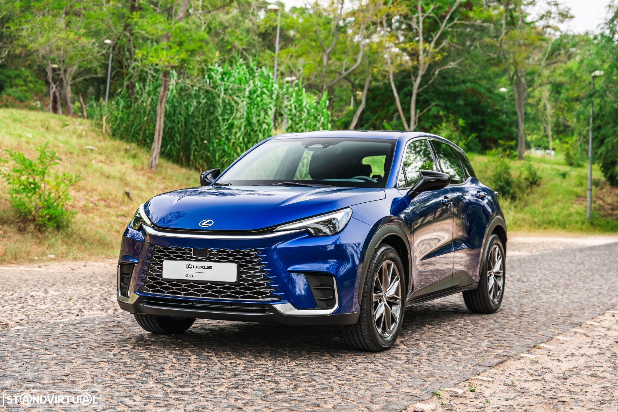 Lexus LBX Elegant Pele Preta - 1