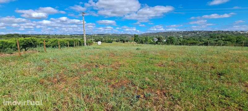 Terreno 4.280m2 Boliqueime a 10min Praia da Falésia - Grande imagem: 4/12