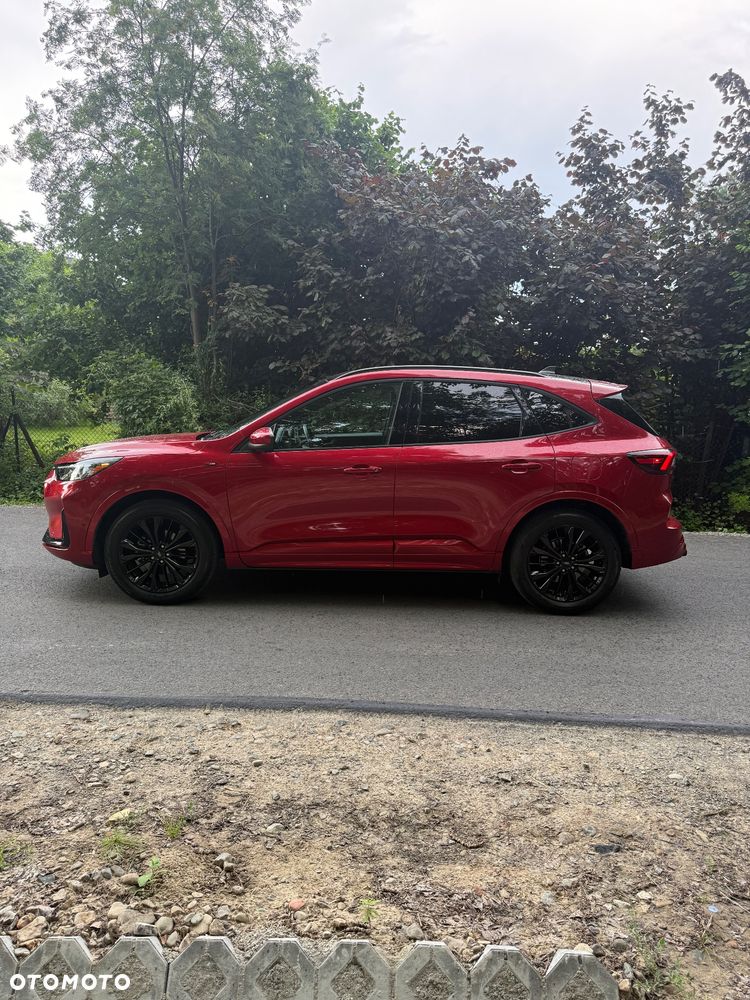Ford Escape - 6
