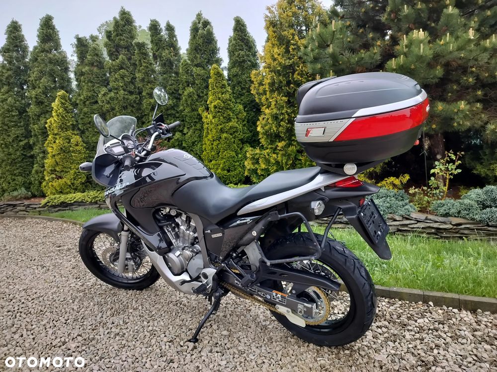 Honda Transalp - 4