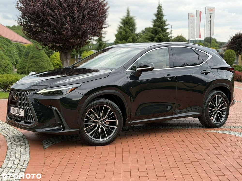 Lexus NX - 10
