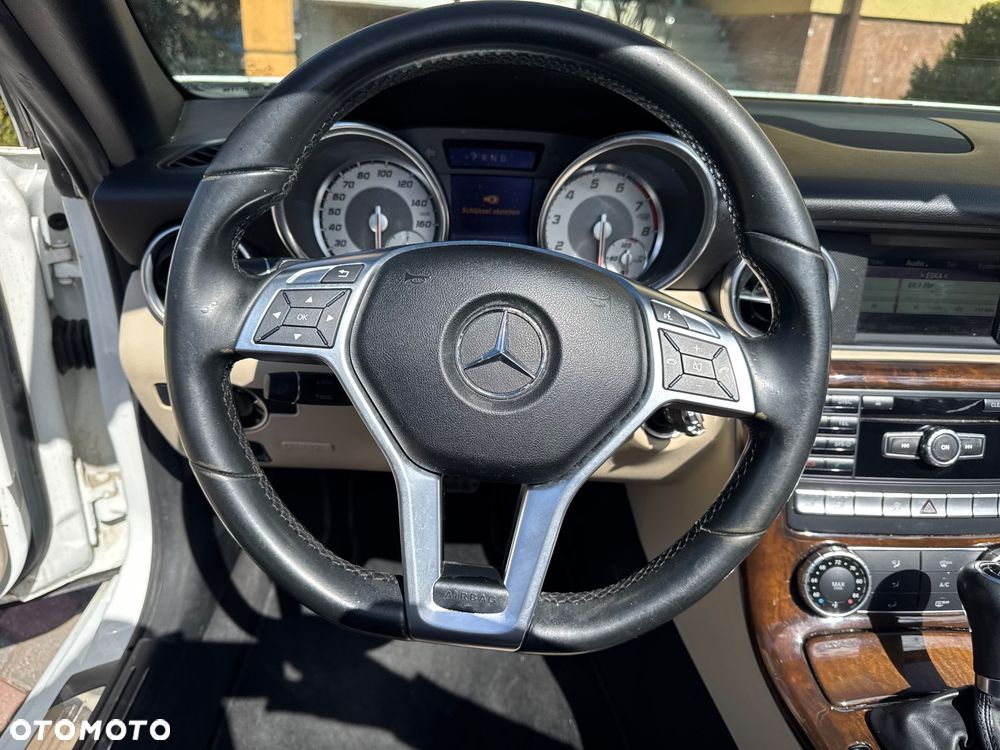 Mercedes-Benz SLK 250 (BlueEFFICIENCY) 7G-TRONIC - 20