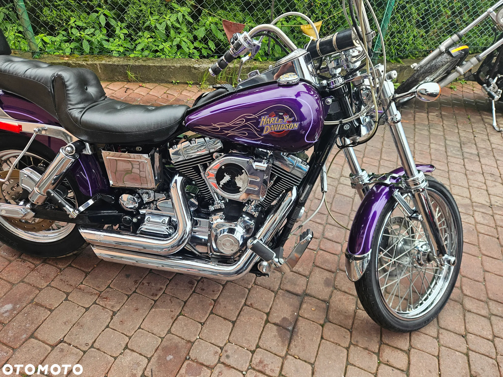 Harley-Davidson Dyna Wide Glide - 3