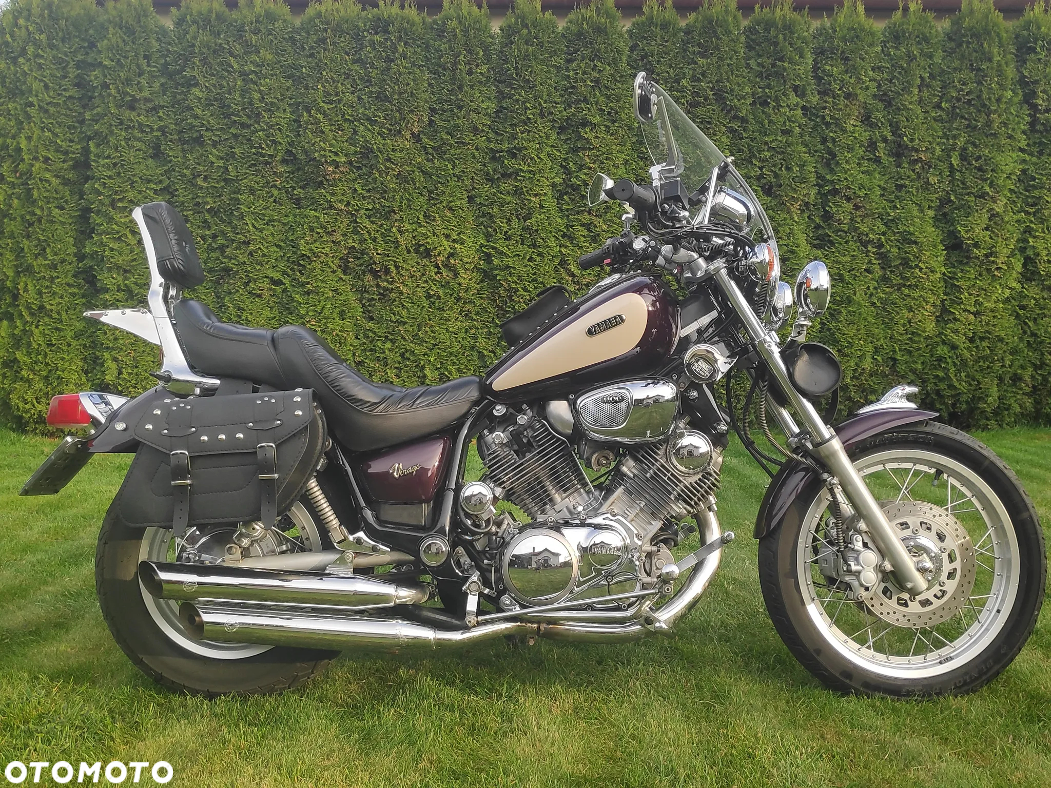 Yamaha Virago - 19