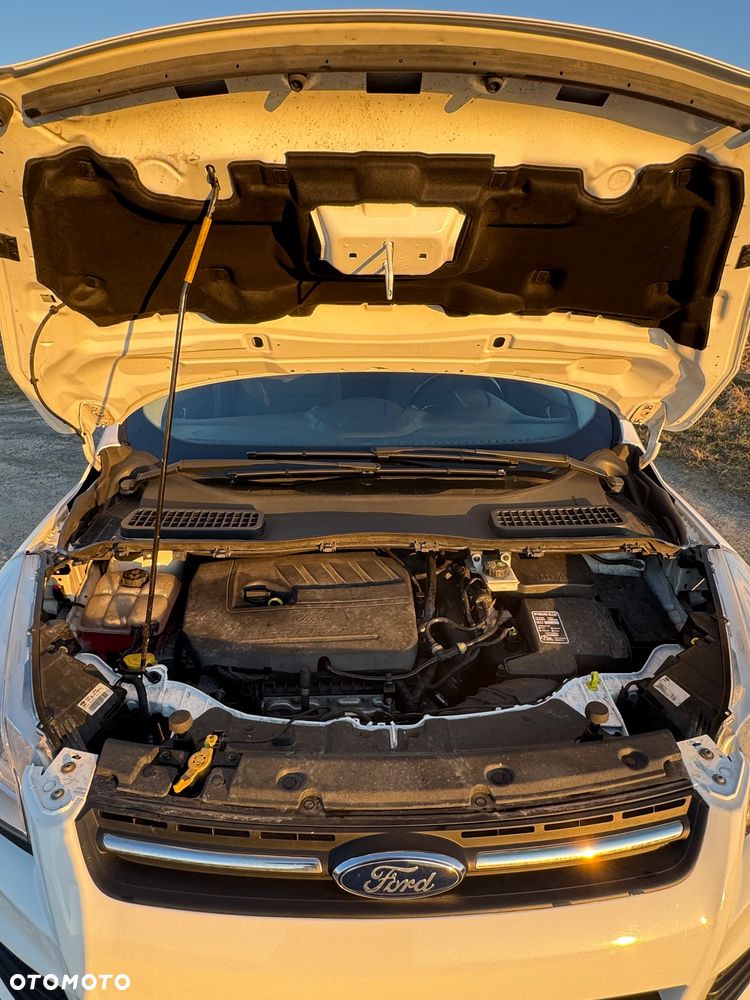 Ford Kuga 1.5 EcoBoost 2x4 Trend - 8
