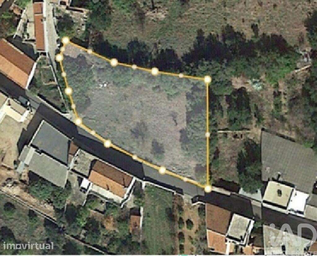 Terreno Agrícola em Salir - Grande imagem: 4/6