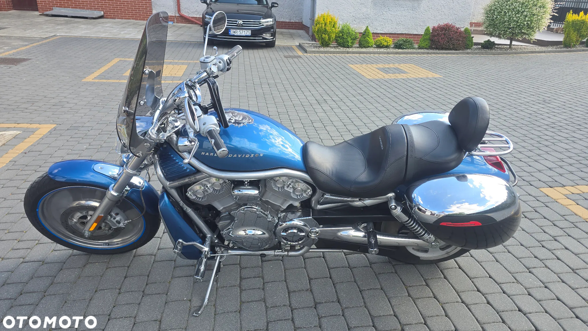 Harley-Davidson Softail V-Rod - 12