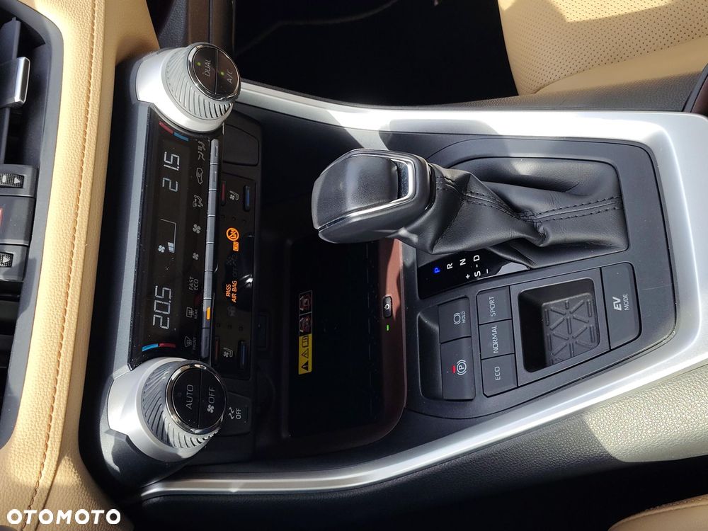 Toyota RAV4 2.5 Hybrid Executive 4x2 - 18