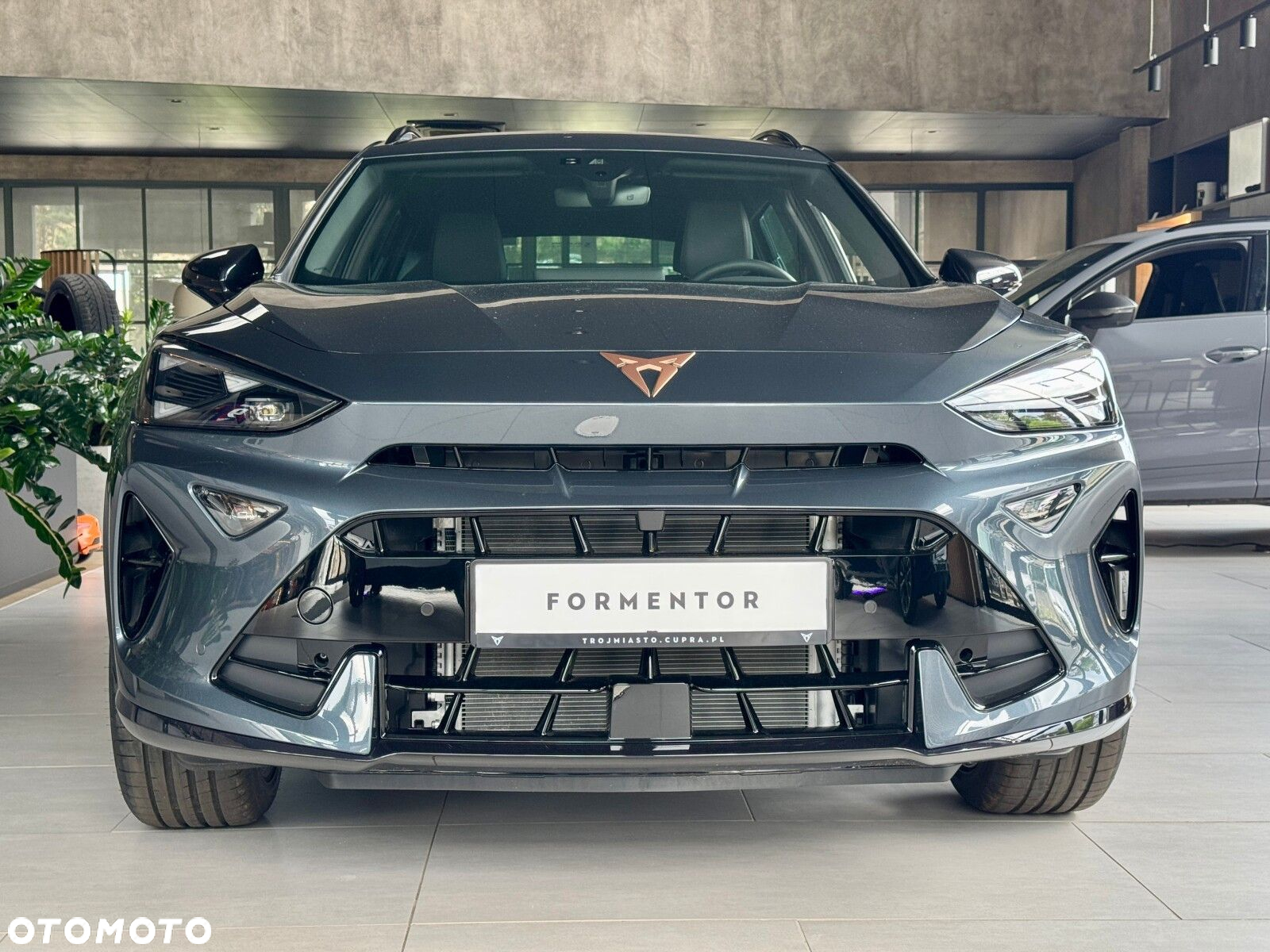 Cupra Formentor 1.5 eTSI mHEV DSG - 9