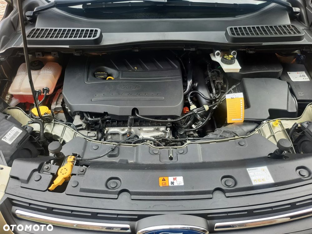 Ford Kuga 1.5 EcoBoost 2x4 Individual - 24