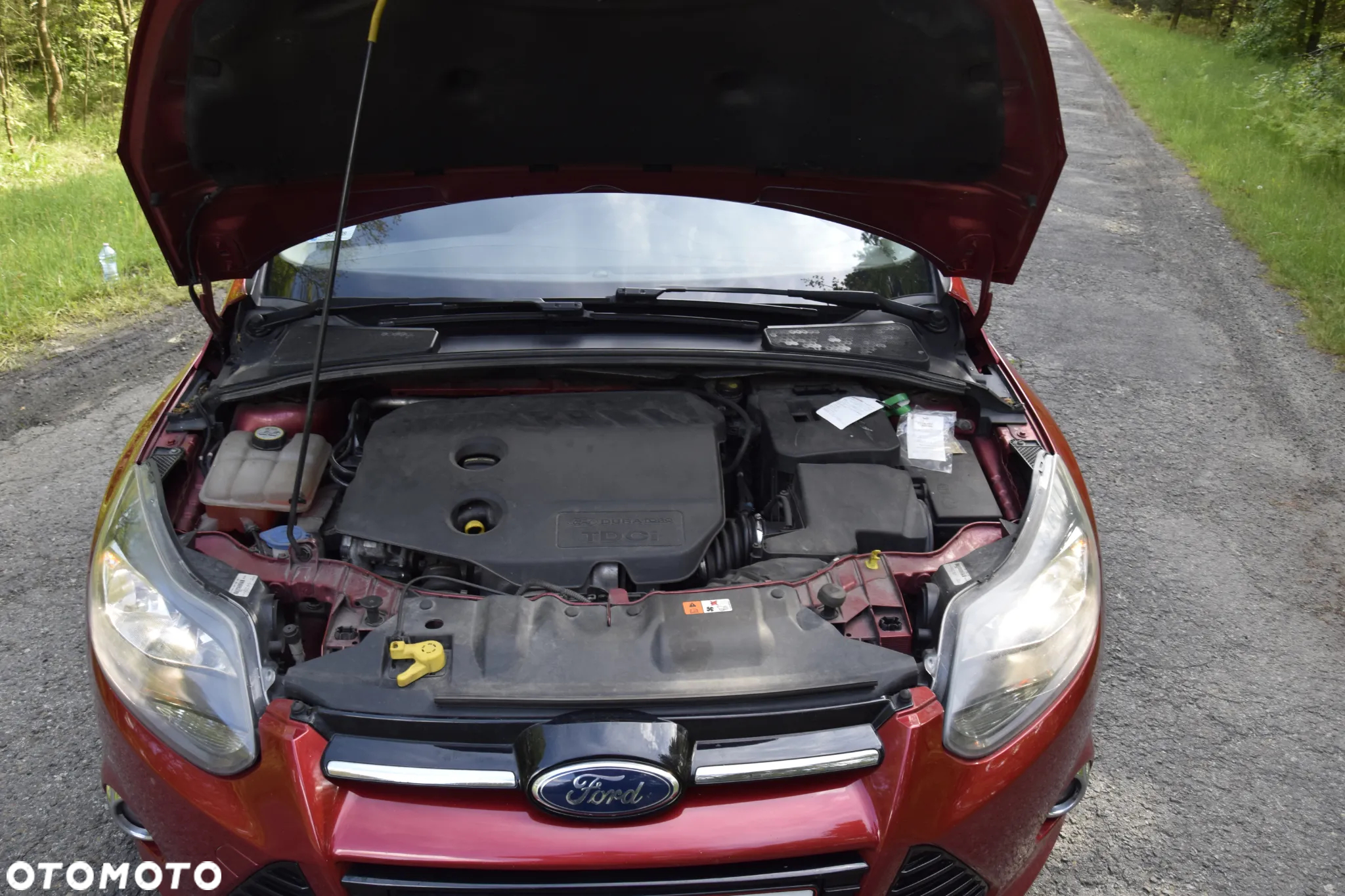 Ford Focus 1.6 TDCi DPF Start-Stopp-System Titanium - 14